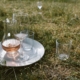 temperature de services des vins